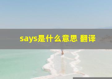 says是什么意思 翻译